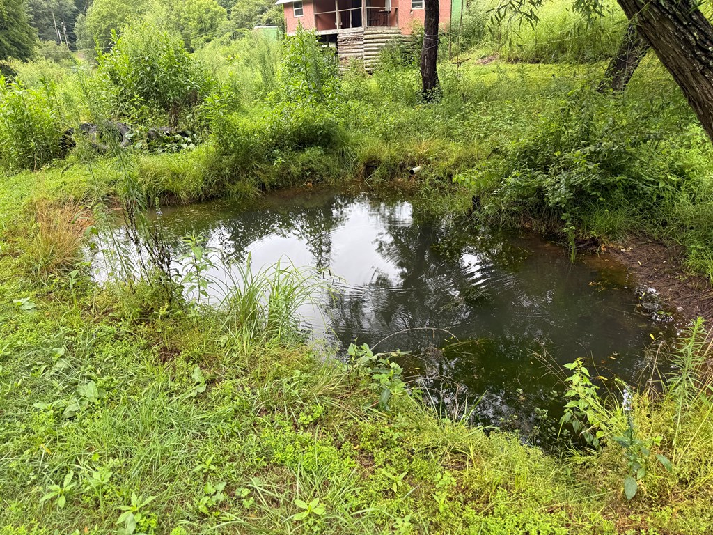 37 Shady Crk Ridge Marble, NC 28905 - Photo 11 of 28 a view of a garden from a lake