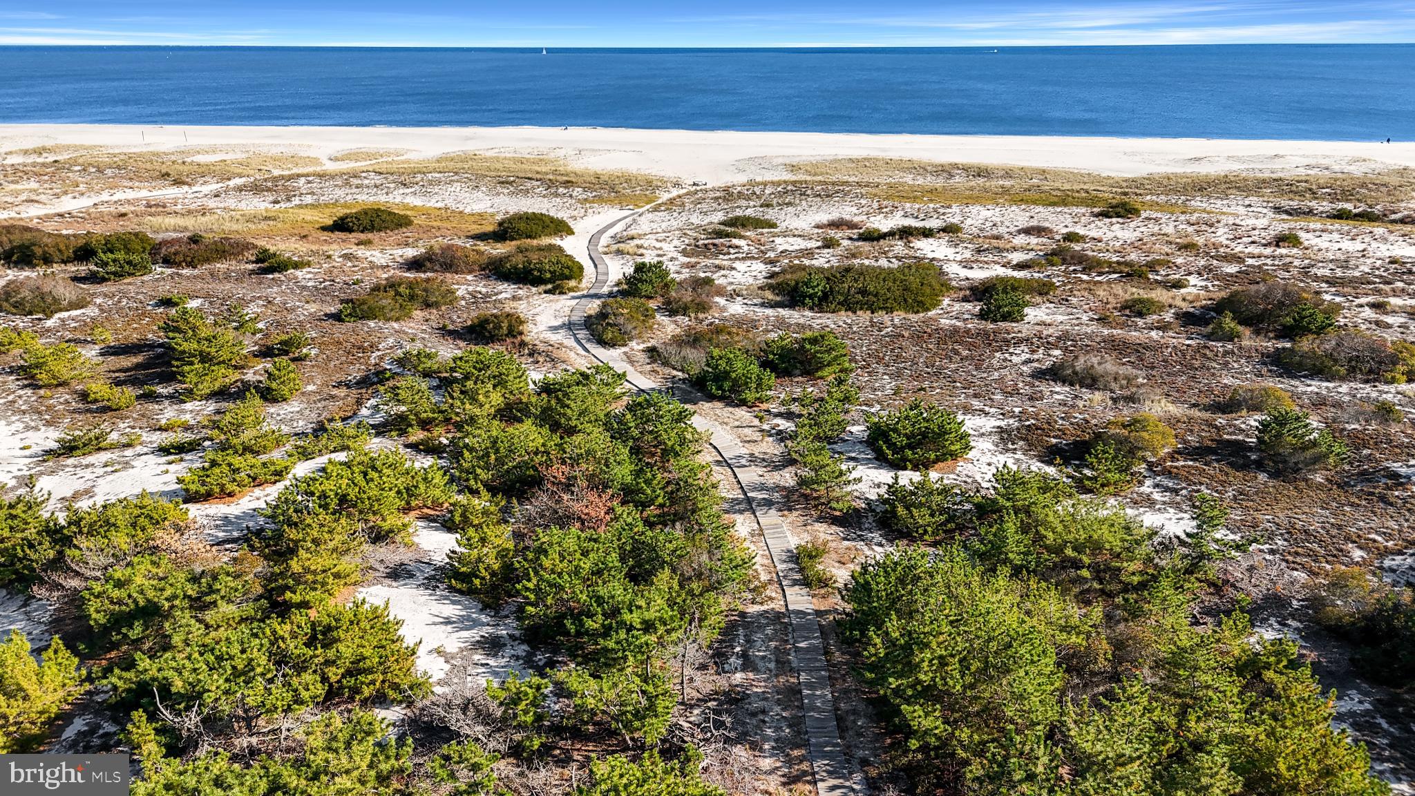 4 East 20th Street Barnegat Light, NJ 08006 - Photo 42 of 43 Pathway to serene coastal beauty.