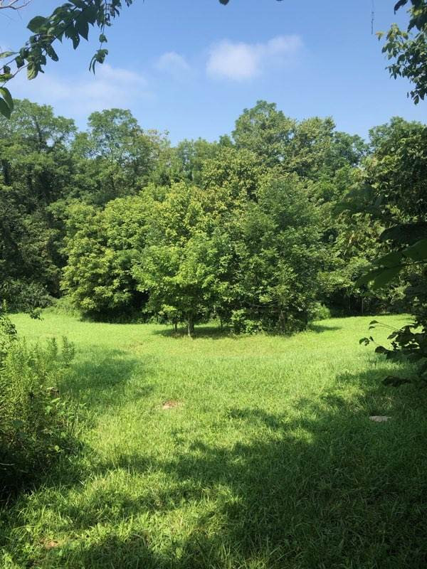 1430 Lemon Northcutt Road Dry Ridge, KY 41035 - Photo 1 of 10