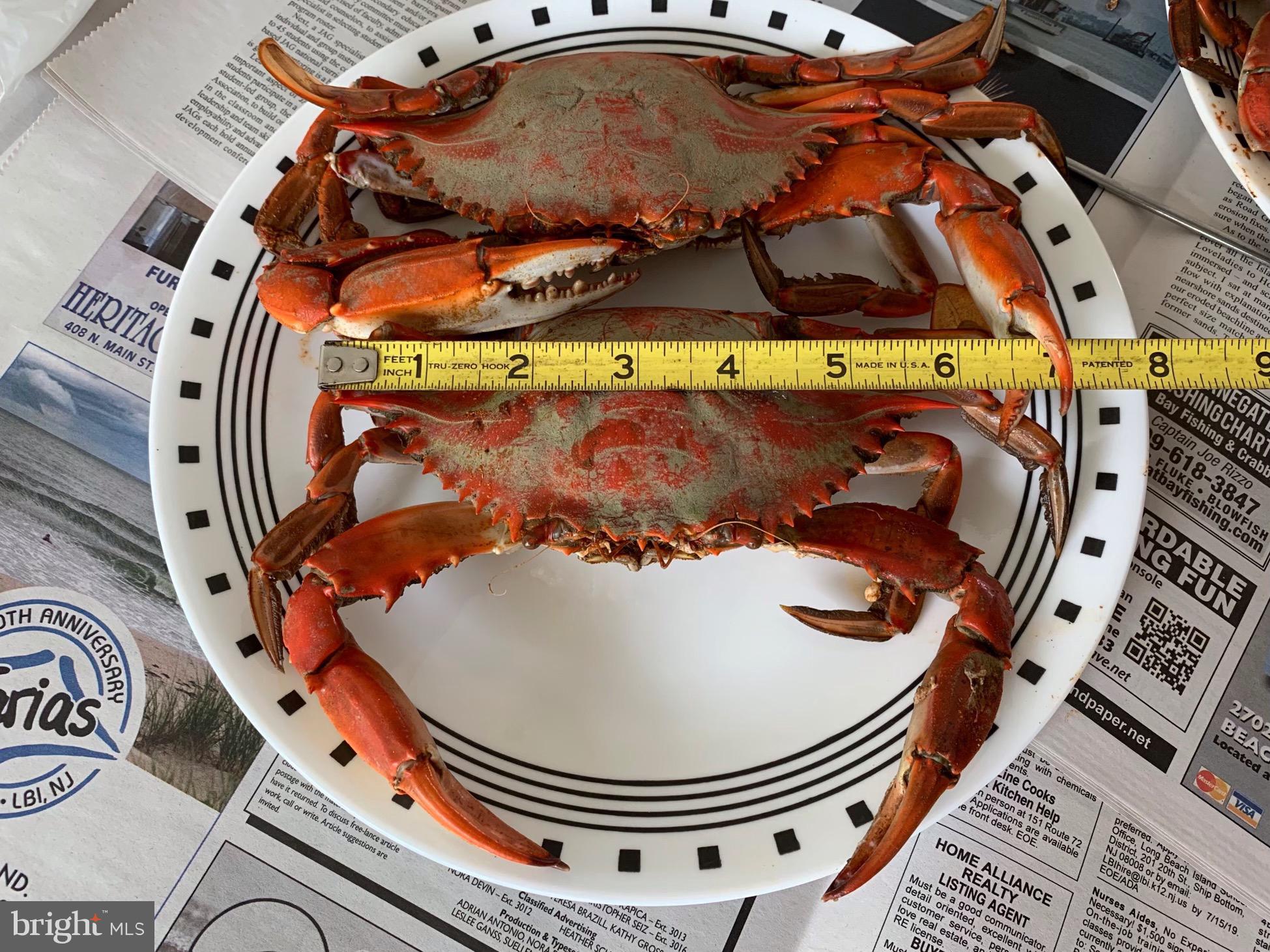 52 Ocean Boulevard Little Egg Harbor, NJ 08087 - Photo 3 of 3