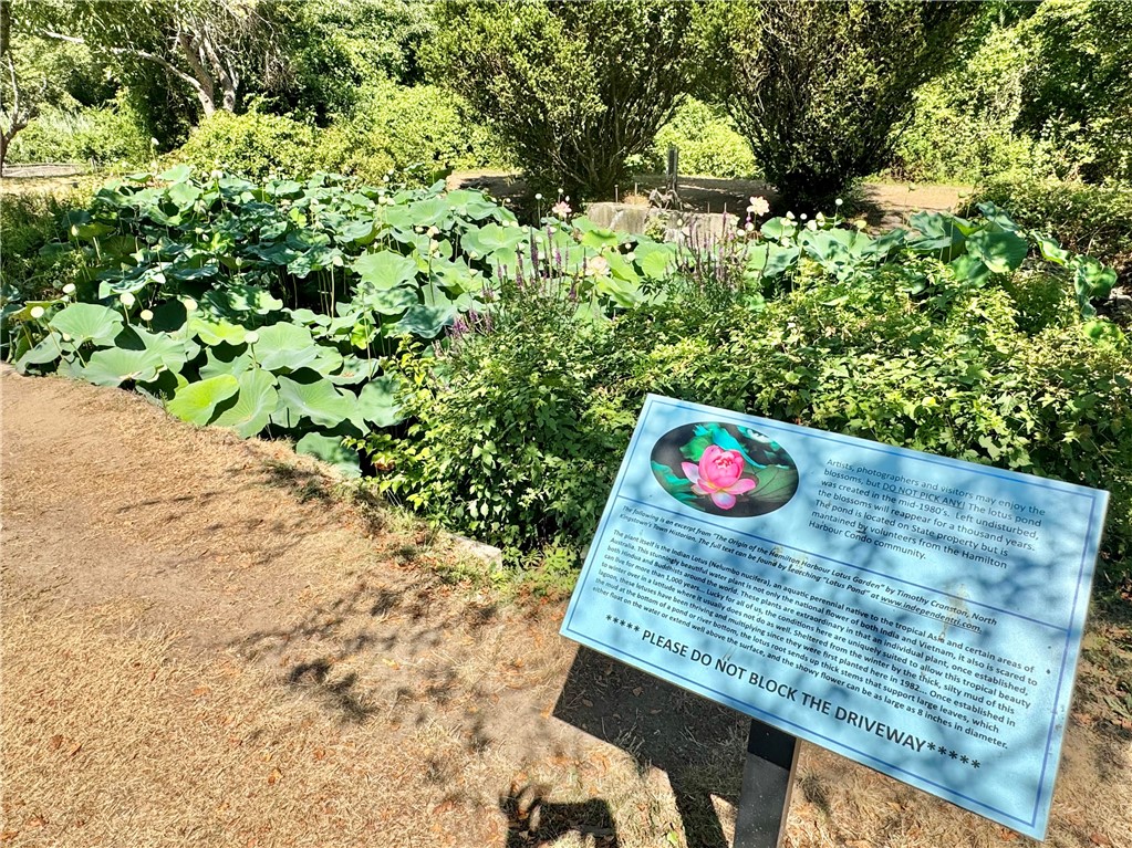 40 Web Avenue, Unit 101 North Kingstown, RI 02852 - Photo 33 of 34 Lotus flower pond