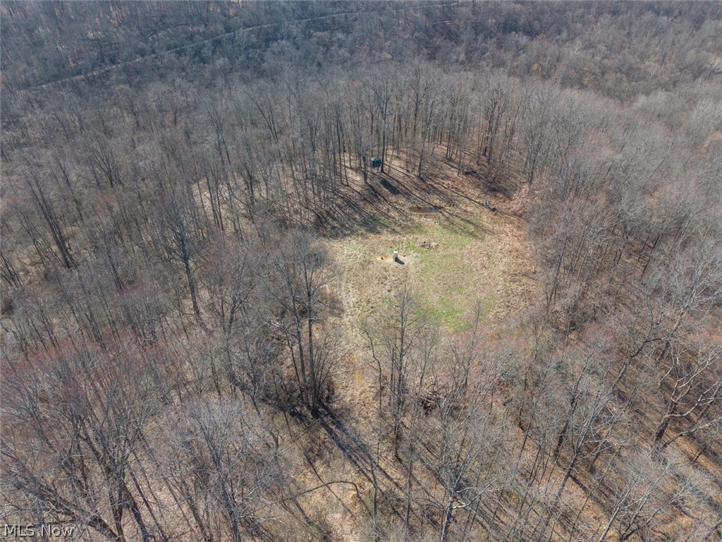 0 Clem Garvin Road Caldwell, OH 43724 - Photo 5 of 50 Drone / aerial view of a heavily wooded area