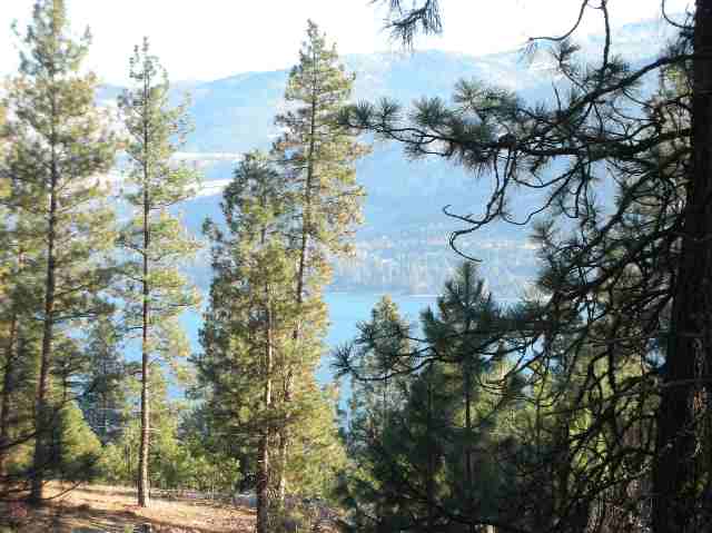 Tbd Mary Ellen Road Kettle Falls, WA 99141 - Photo 1 of 7