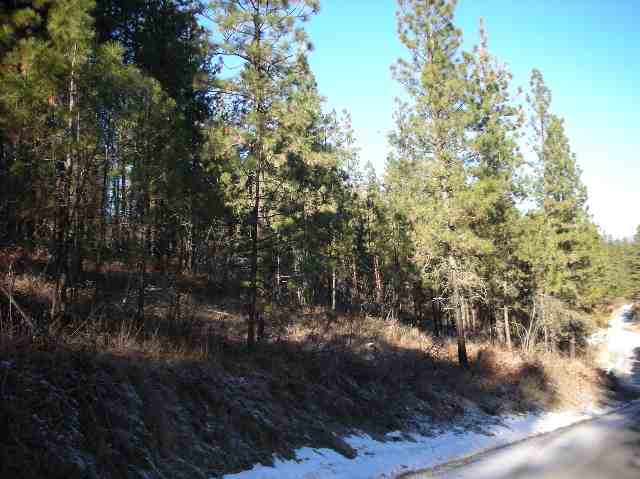 Tbd Mary Ellen Road Kettle Falls, WA 99141 - Photo 3 of 7