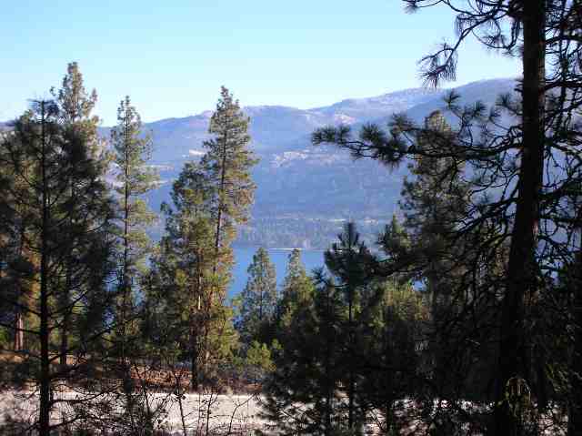 Tbd Mary Ellen Road Kettle Falls, WA 99141 - Photo 4 of 7