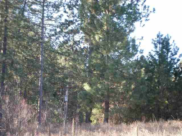 Tbd Mary Ellen Road Kettle Falls, WA 99141 - Photo 6 of 7