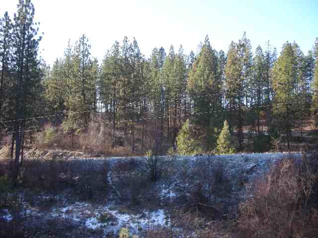 Tbd Mary Ellen Road Kettle Falls, WA 99141 - Photo 7 of 7