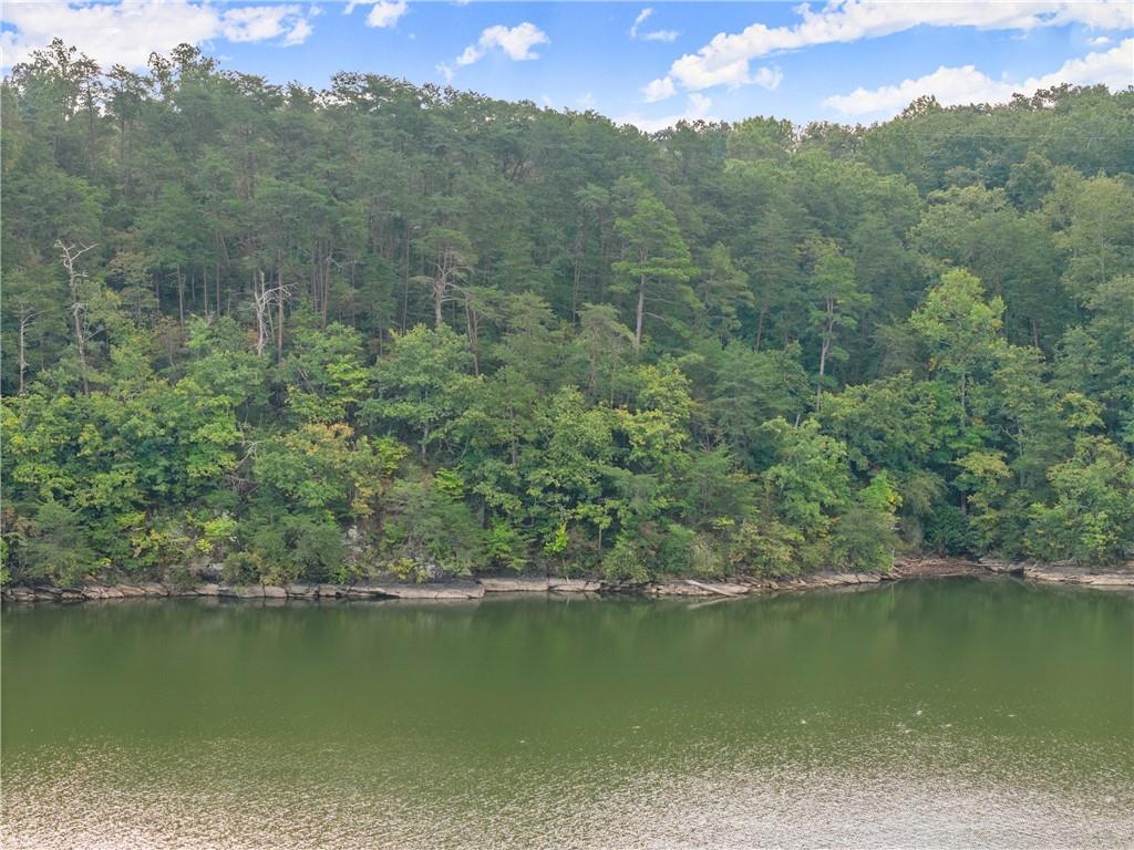 4193 Cagle Road Lula, GA 30554 - Photo 12 of 24 a view of a lake with a mountain in the background