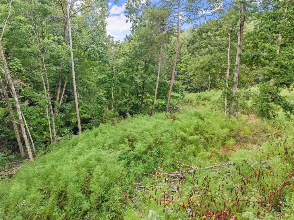 4193 Cagle Road Lula, GA 30554 - Photo 14 of 24 a view of a lush green forest