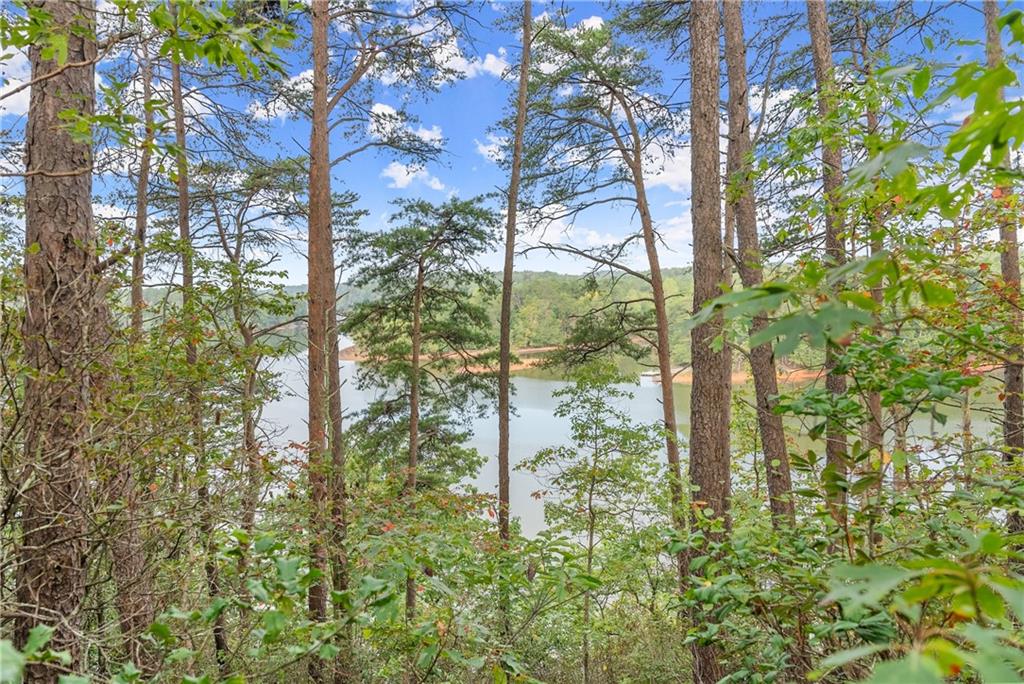 4193 Cagle Road Lula, GA 30554 - Photo 17 of 24 a backyard of a building