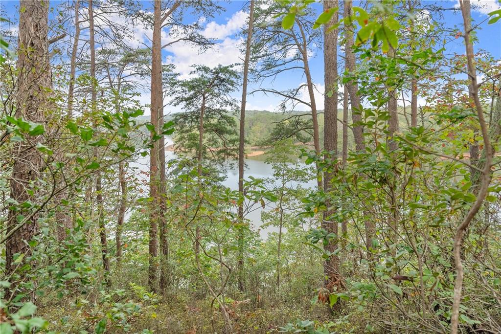 4193 Cagle Road Lula, GA 30554 - Photo 19 of 24 a close up of a plant in a garden