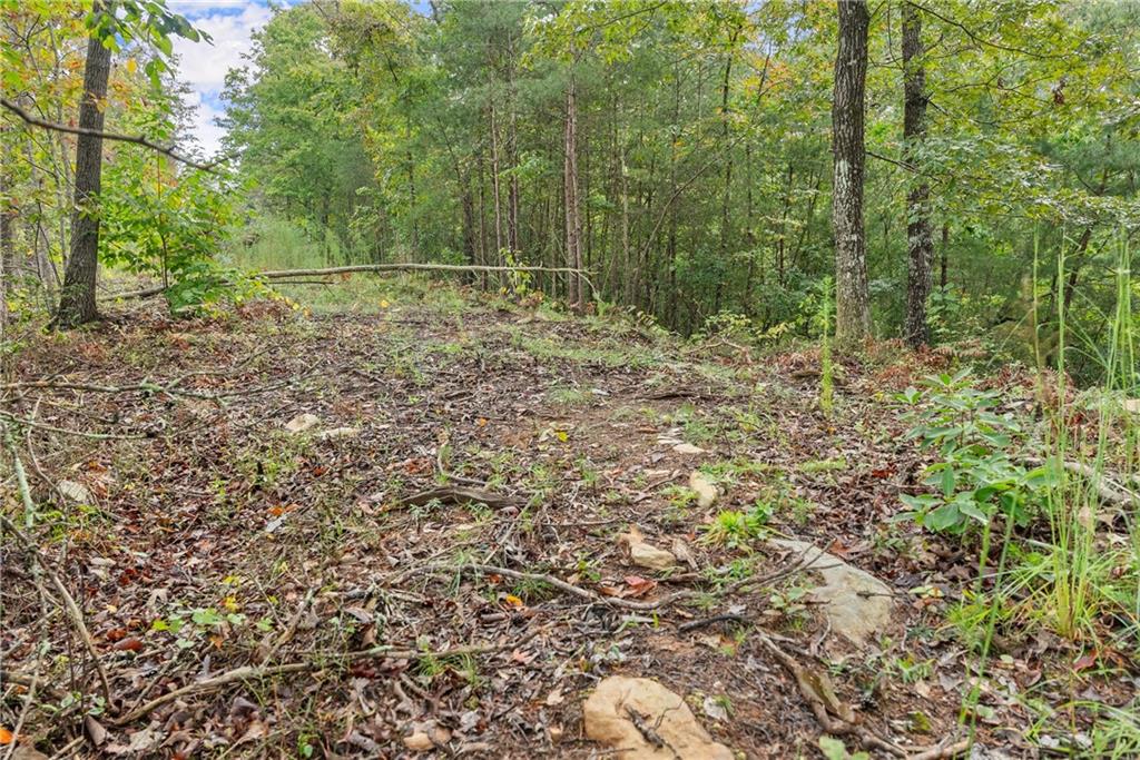 4193 Cagle Road Lula, GA 30554 - Photo 21 of 24 a view of outdoor space and green space