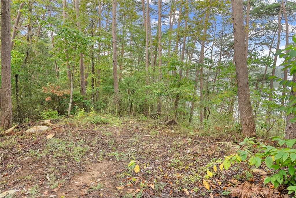 4193 Cagle Road Lula, GA 30554 - Photo 22 of 24 a view of outdoor space and garden view