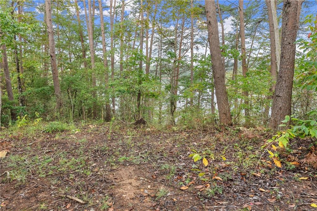 4193 Cagle Road Lula, GA 30554 - Photo 23 of 24 a view of forest