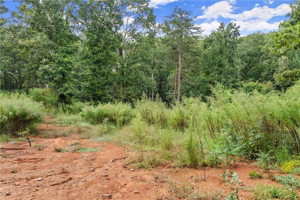 4193 Cagle Road Lula, GA 30554 - Photo 24 of 24 a view of a dry yard