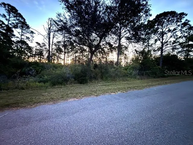 a view of outdoor space with trees