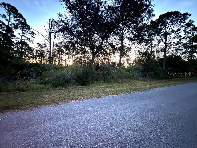 116 Hawke Street Port Charlotte, FL 33953 - Photo 3 of 4 a view of outdoor space with trees