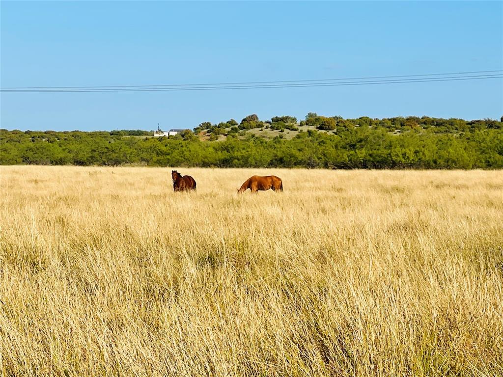 1089 Tennyson Road Miles, TX 76861 - Photo 16 of 40