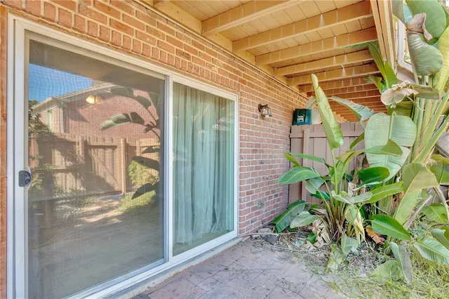 a view of a garden with plants