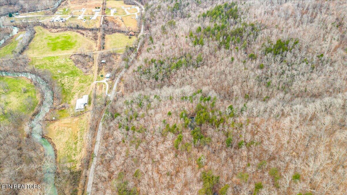 Brimstone Road Robbins, TN 37852 - Photo 11 of 19 10-Brimstone