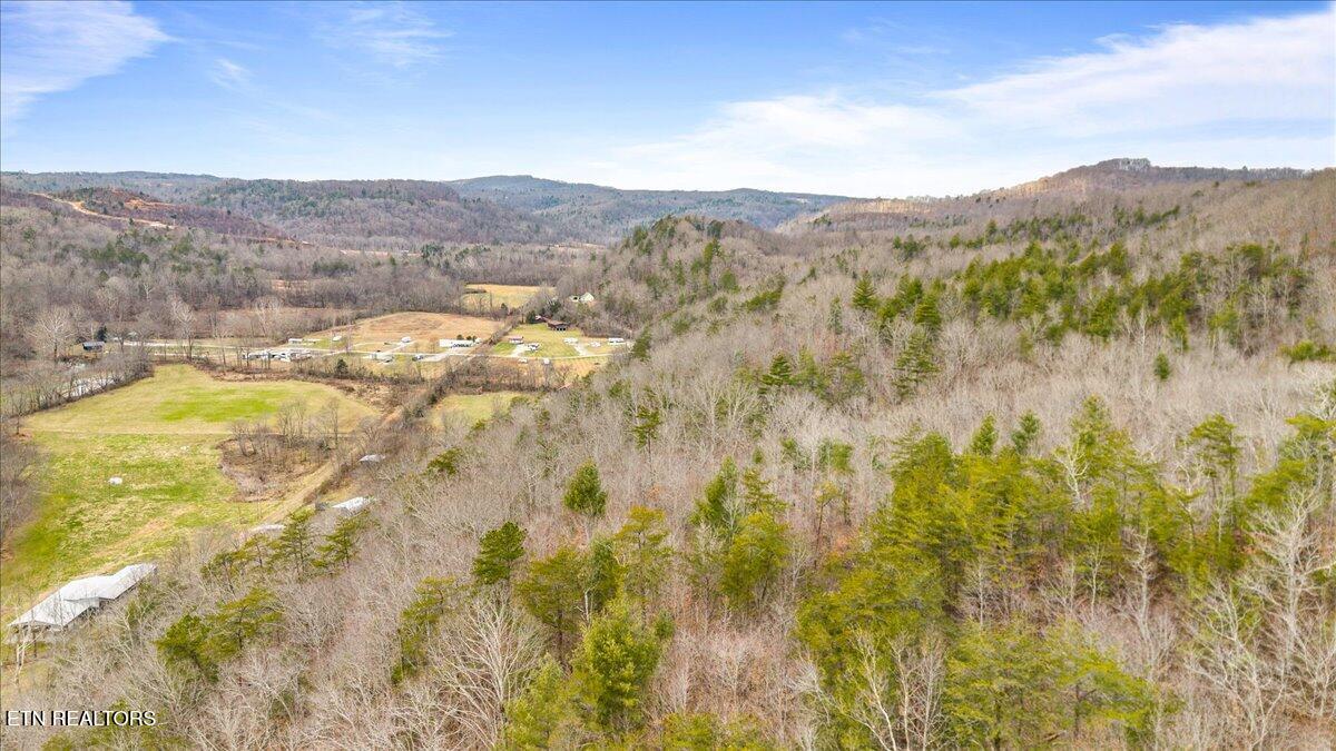 Brimstone Road Robbins, TN 37852 - Photo 12 of 19 11-Brimstone