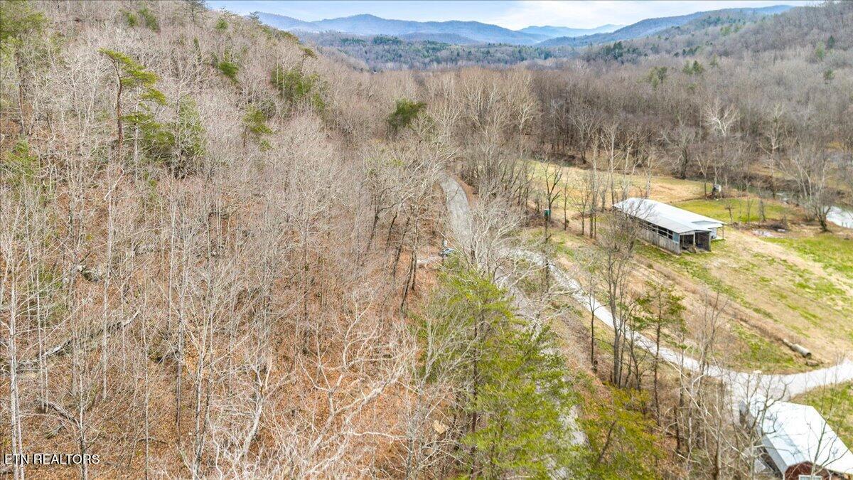 Brimstone Road Robbins, TN 37852 - Photo 14 of 19 13-Brimstone