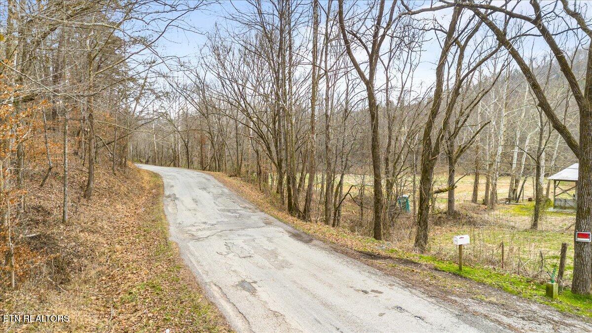 Brimstone Road Robbins, TN 37852 - Photo 16 of 19 15-Brimstone