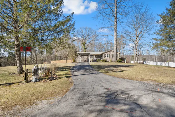 a view of street with large tree