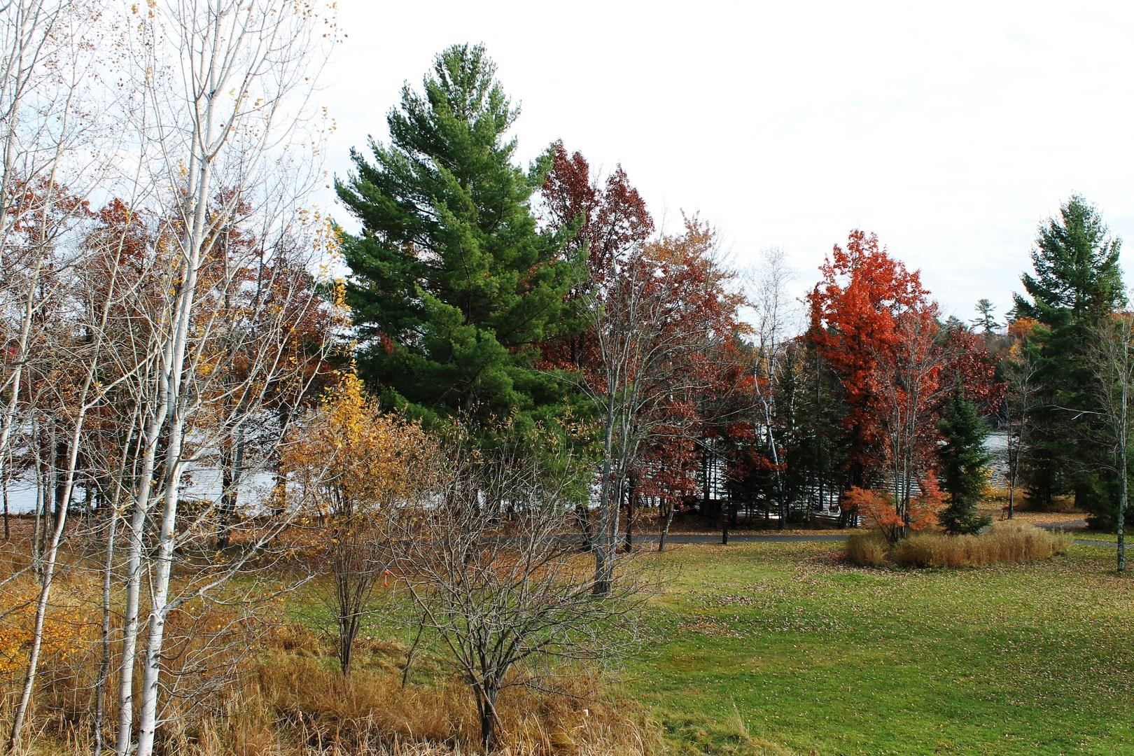 2012 Wild Eagle Lane, Unit 128 Eagle River, WI 54521 - Photo 23 of 33