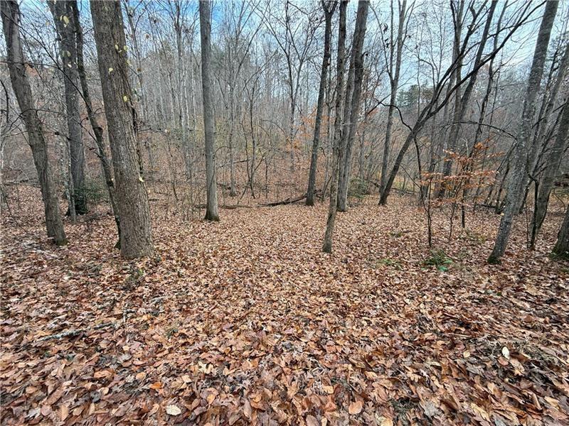 0 Falling Pines Road Dahlonega, GA 30533 - Photo 6 of 10