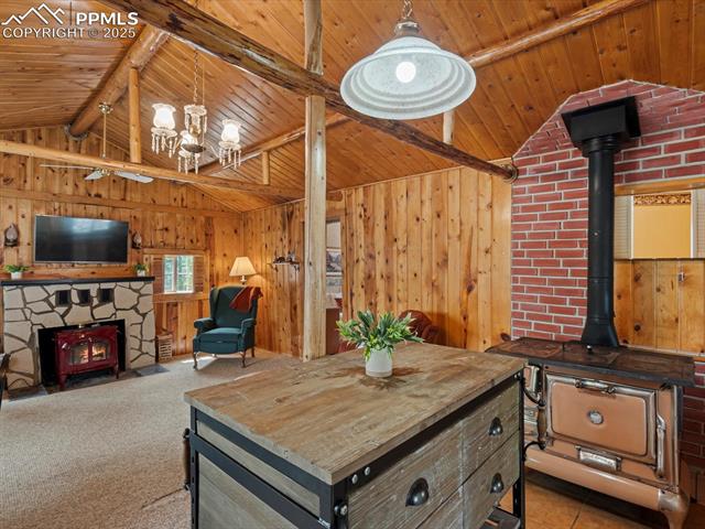 103 Alpine Road Woodland Park, CO 80863 - Photo 30 of 47 Gallery Image 30