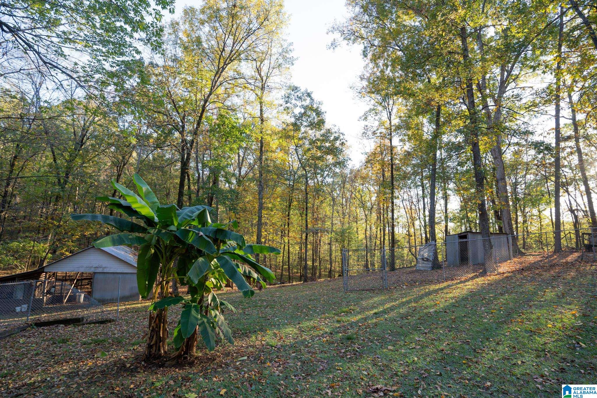 5100 Hatcher Road Bessemer, AL 35022 - Photo 62 of 69