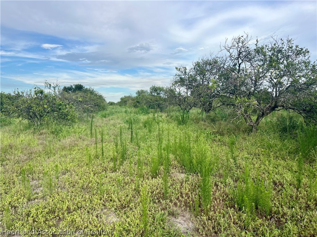 Hayman Road Wauchula, FL 33873 - Photo 2 of 8