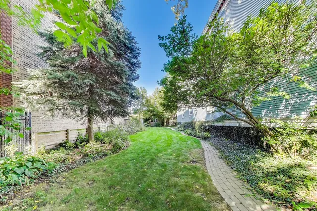 a view of a garden with large trees