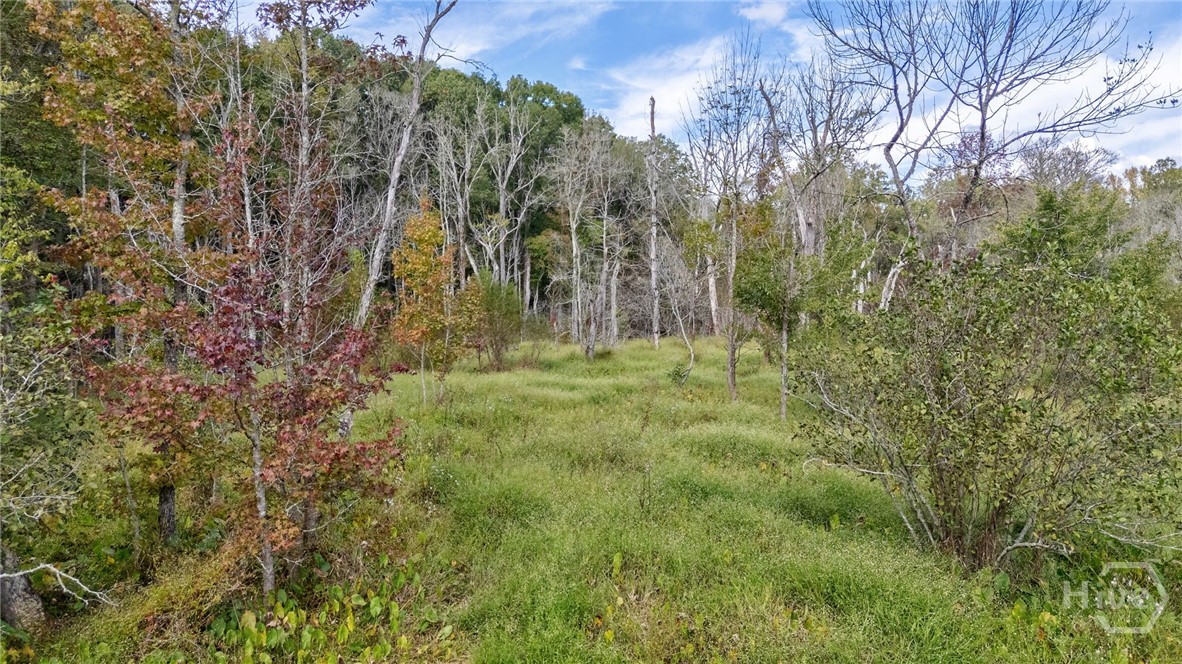 0 Old Salem Road Conyers, GA 30013 - Photo 10 of 26 Gallery Image 10