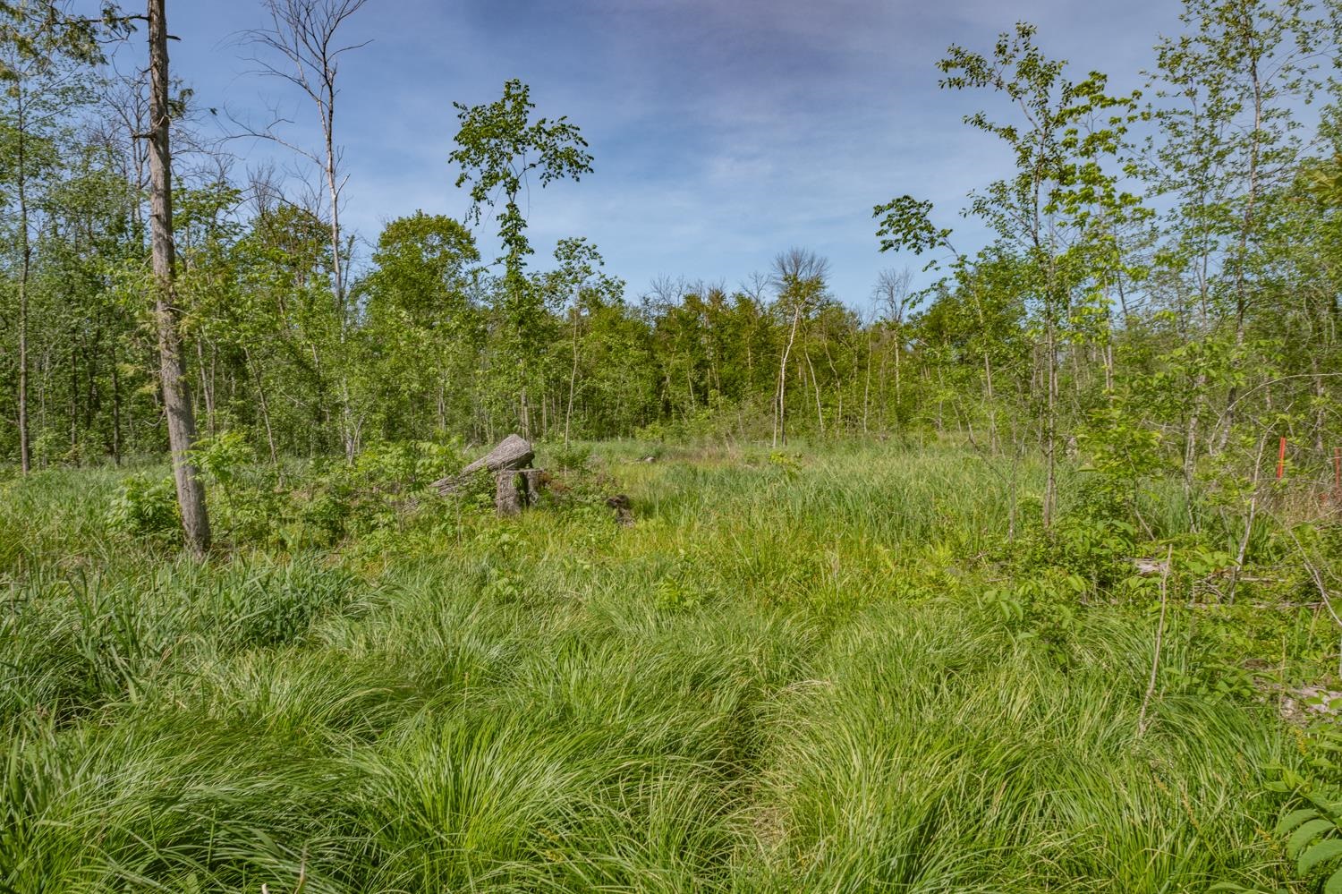 Chicago Road Redgranite, WI 54970 - Photo 17 of 37