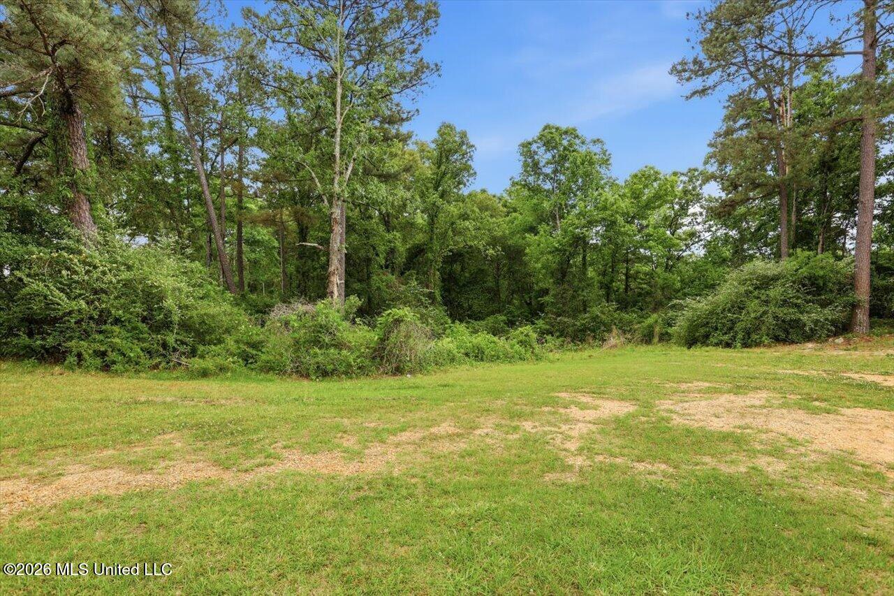 668 Rose Hill Road Mendenhall, MS 39114 - Photo 27 of 27 29-668 Rose Hill Rd _ Hometoursms.com