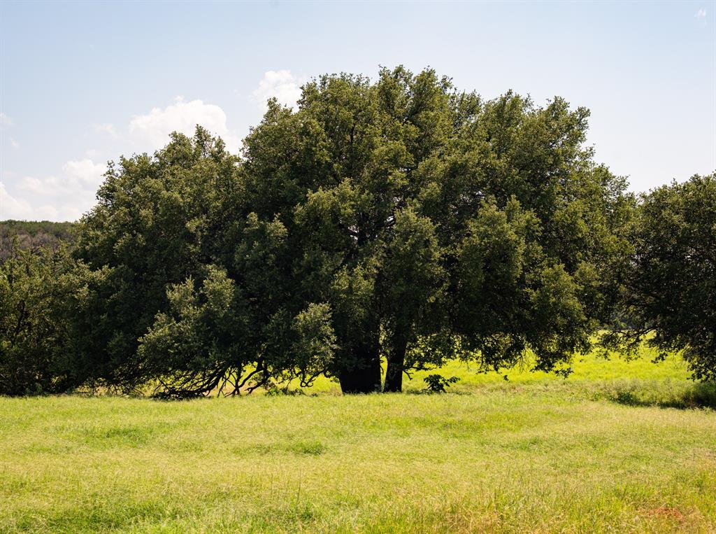 2105 River Shls Road Mineral Wells, TX 76067 - Photo 20 of 38 a view of a yard