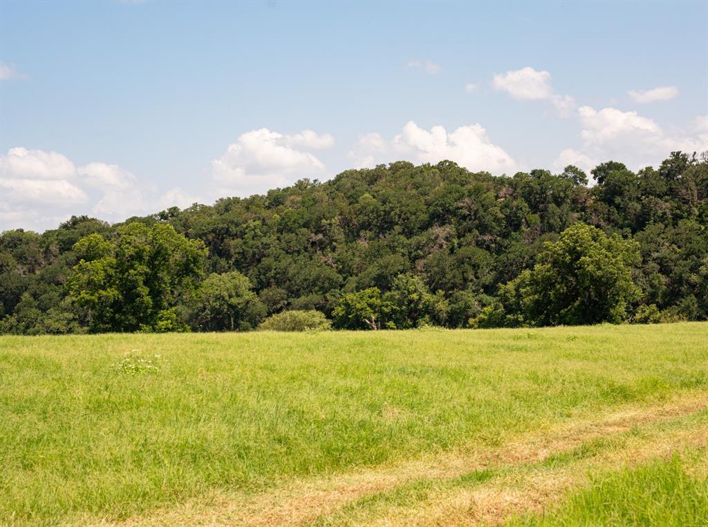 2105 River Shls Road Mineral Wells, TX 76067 - Photo 21 of 38 a view of a garden with a building