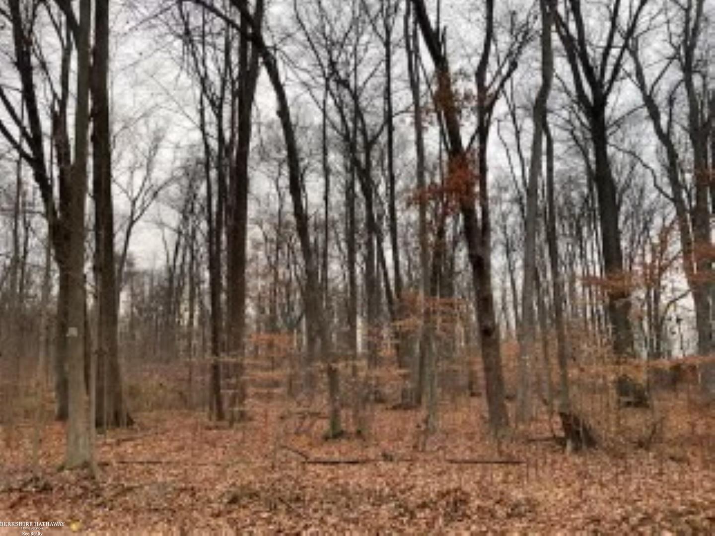 0 Kunstman Road Ray, MI 48096 - Photo 2 of 6