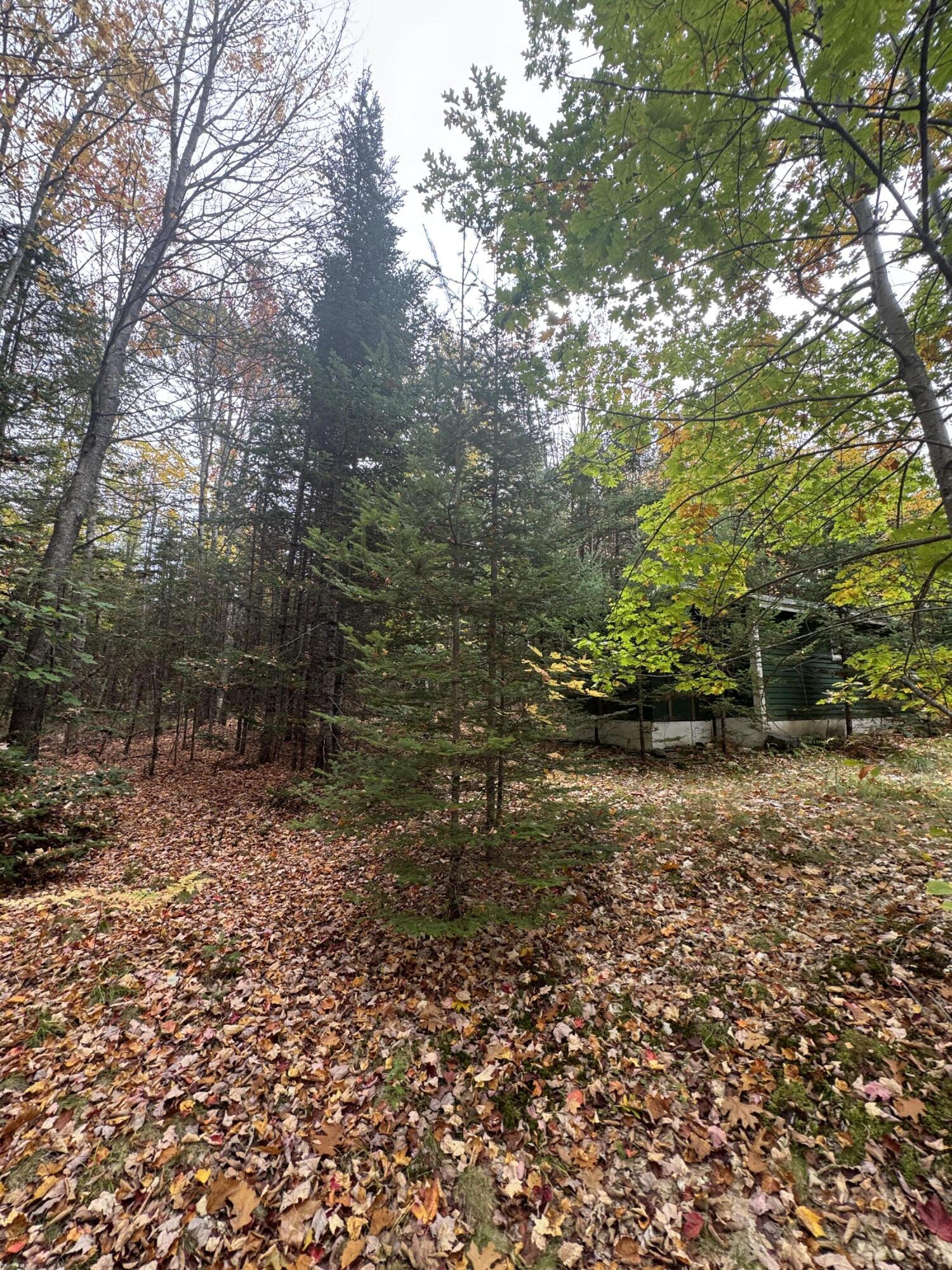 839 Oliver Hill Road Garland, ME 04939 - Photo 10 of 15 IMG_8629