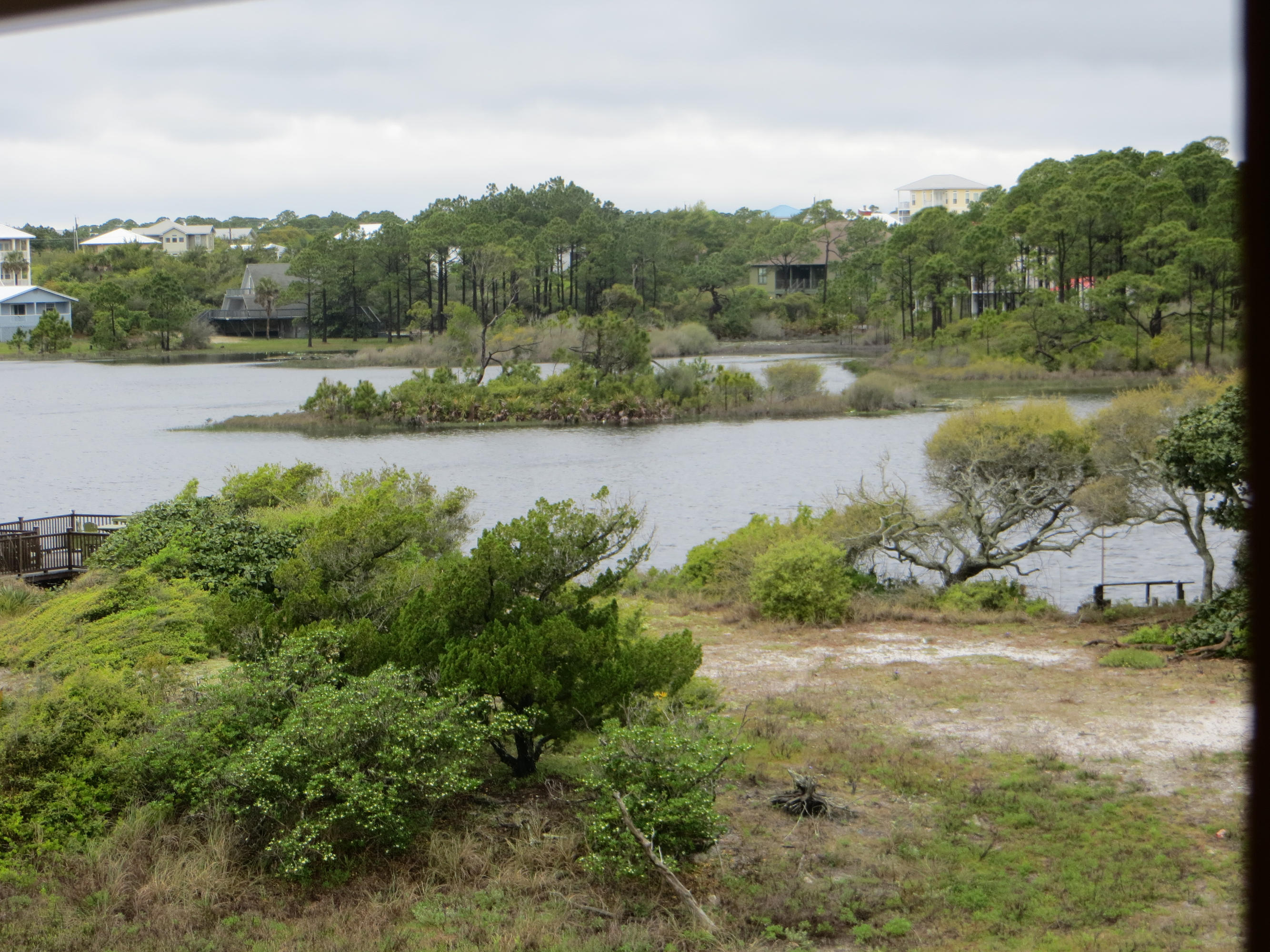 Lot 3 Cr-30a Santa Rosa Beach Santa Rosa Beach, FL 32459 - Photo 4 of 32 IMG_3849