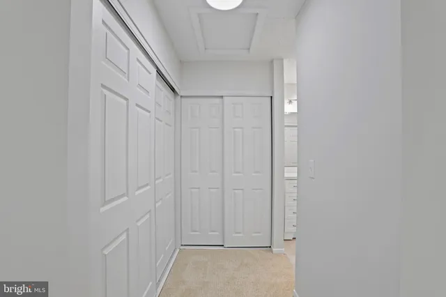 a view of an empty walk in closet
