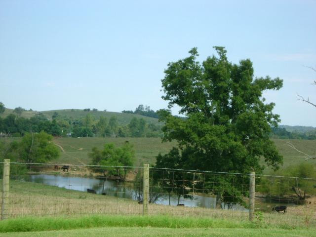 1156 Knob Lick Road Stanford, KY 40484 - Photo 6 of 11 Photo 6