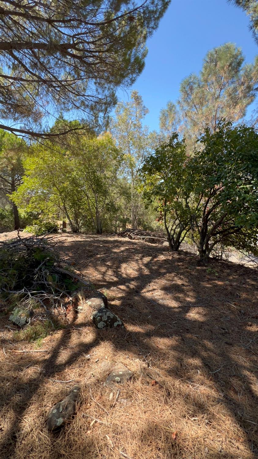 2990 Royce Drive Rescue, CA 95672 - Photo 8 of 9 Gallery Image 8