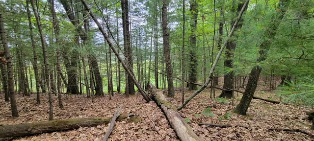 $34,900 | Vl Trail Of The Lakes, Baldwin, MI 49304