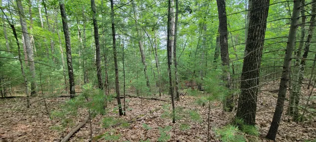 $34,900 | Vl Trail Of The Lakes, Baldwin, MI 49304