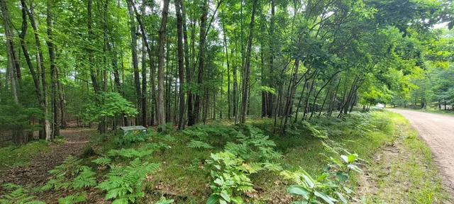 $34,900 | Vl Trail Of The Lakes, Baldwin, MI 49304