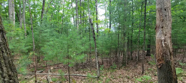 $34,900 | Vl Trail Of The Lakes, Baldwin, MI 49304