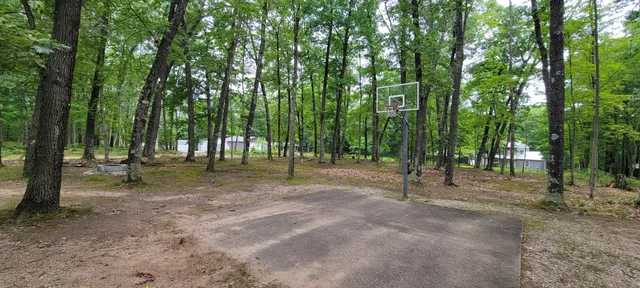 $34,900 | Vl Trail Of The Lakes, Baldwin, MI 49304